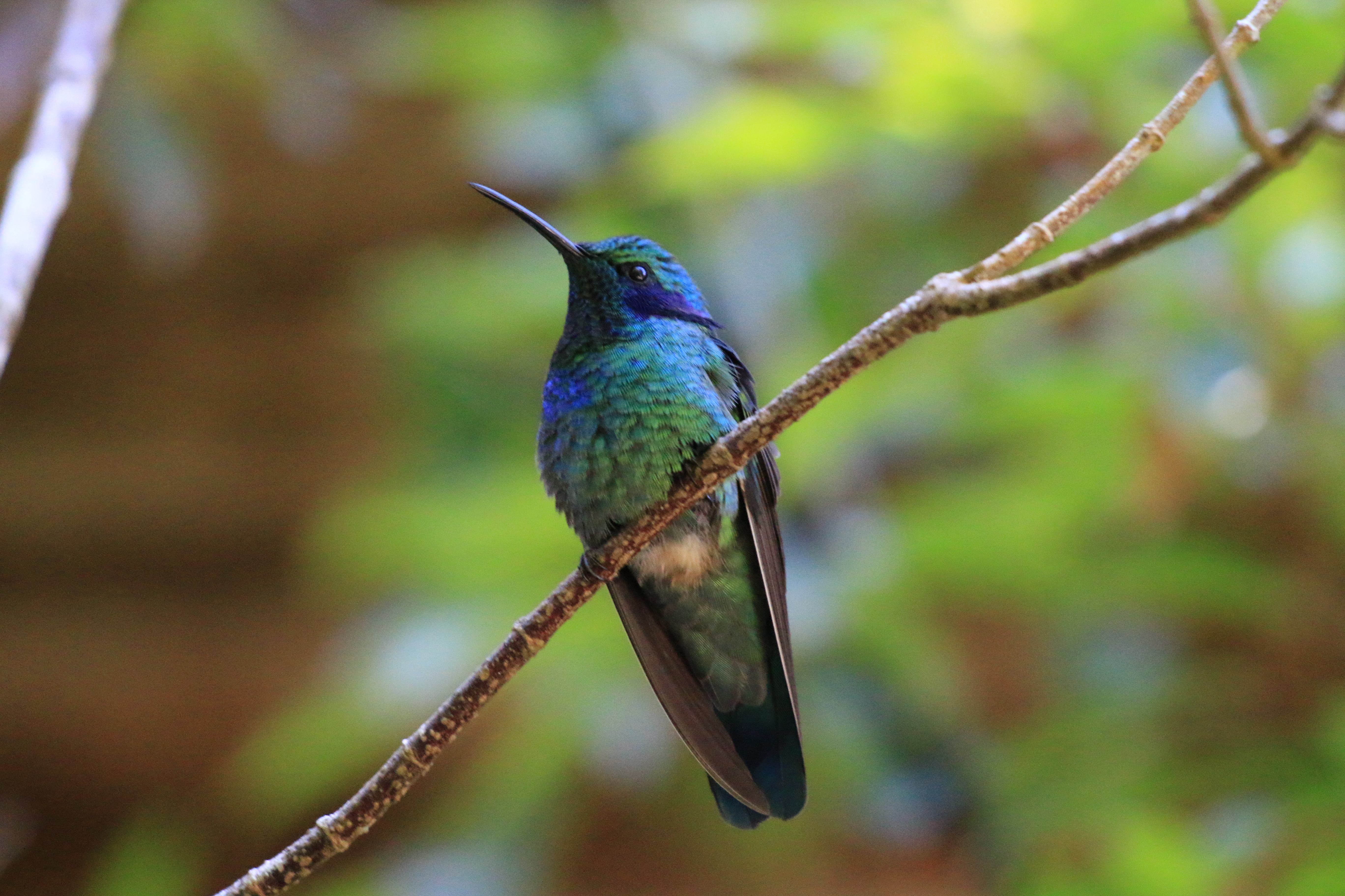 Costa Rica